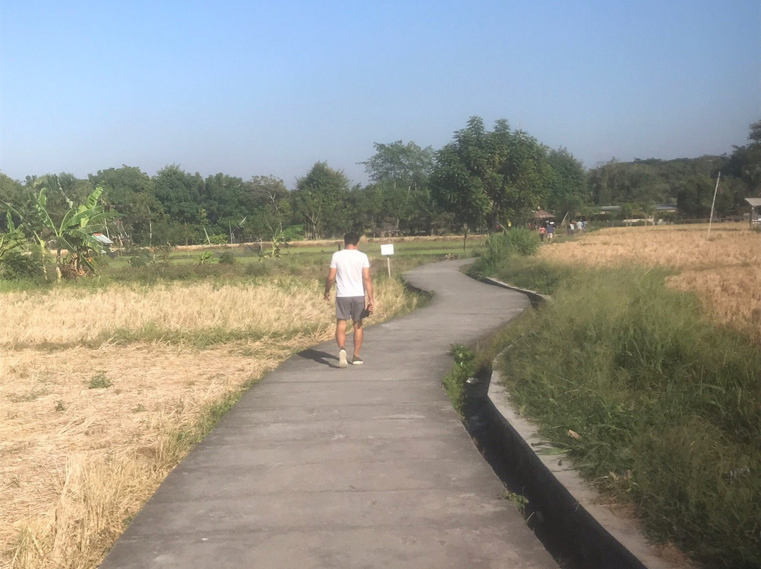 Kertalangu Cultural Village-登巴萨必去景点