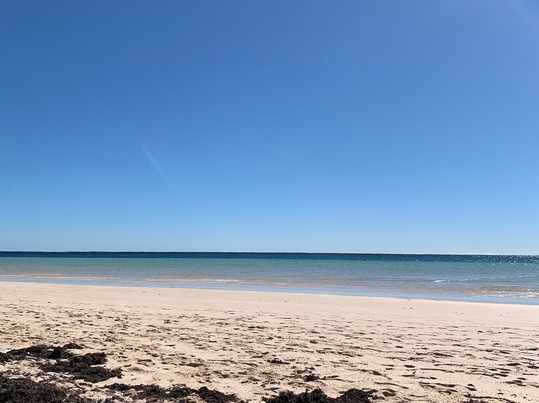 Ningaloo Kayak Adventures-珊瑚湾必去景点