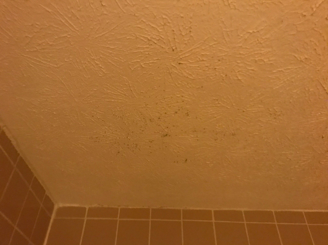 Best Western Fredericksburg主图