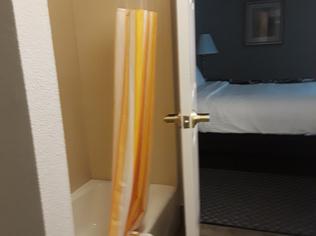 La Quinta Inn & Suites by Wyndham Gainesville主图