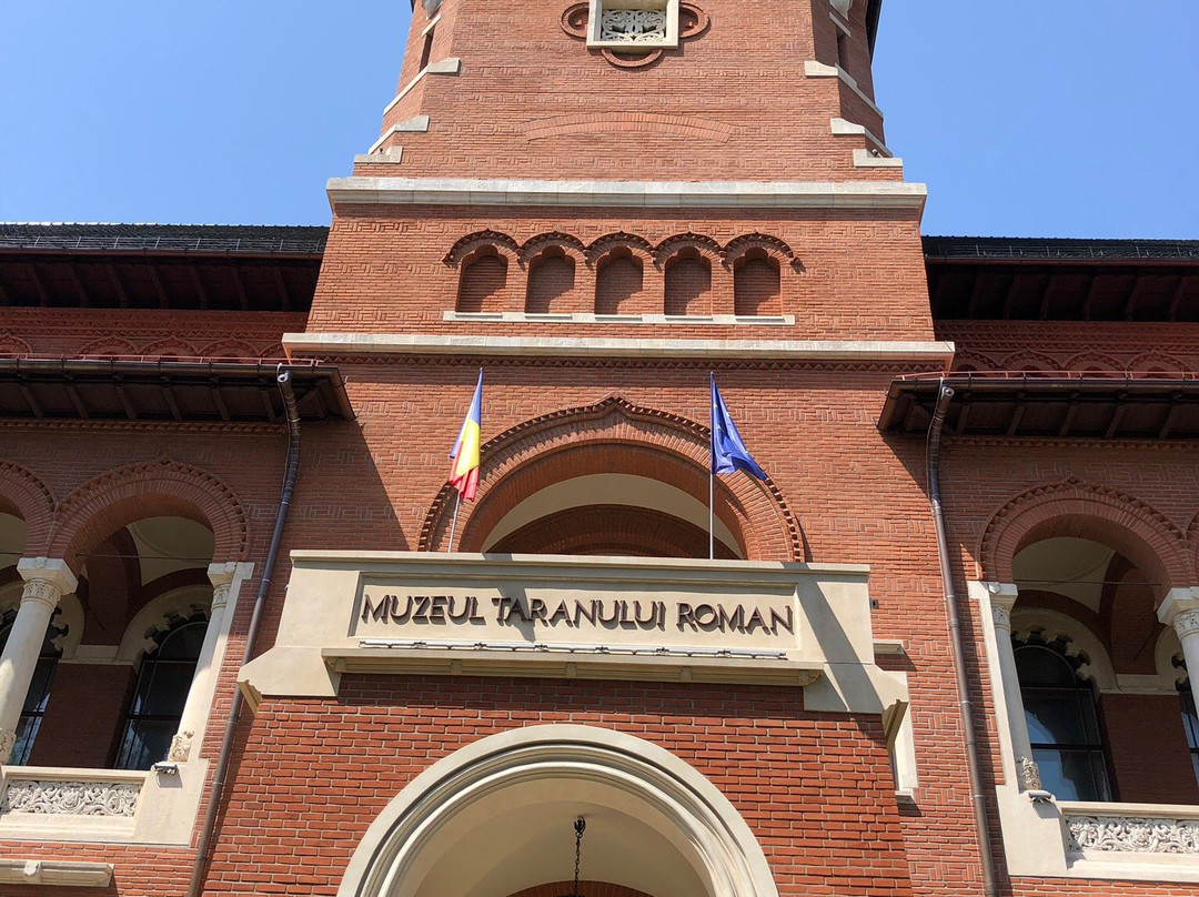 Muzeul Țăranului Român景点图片