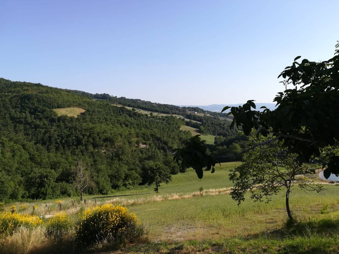 Agriturismo Colle Pu主图