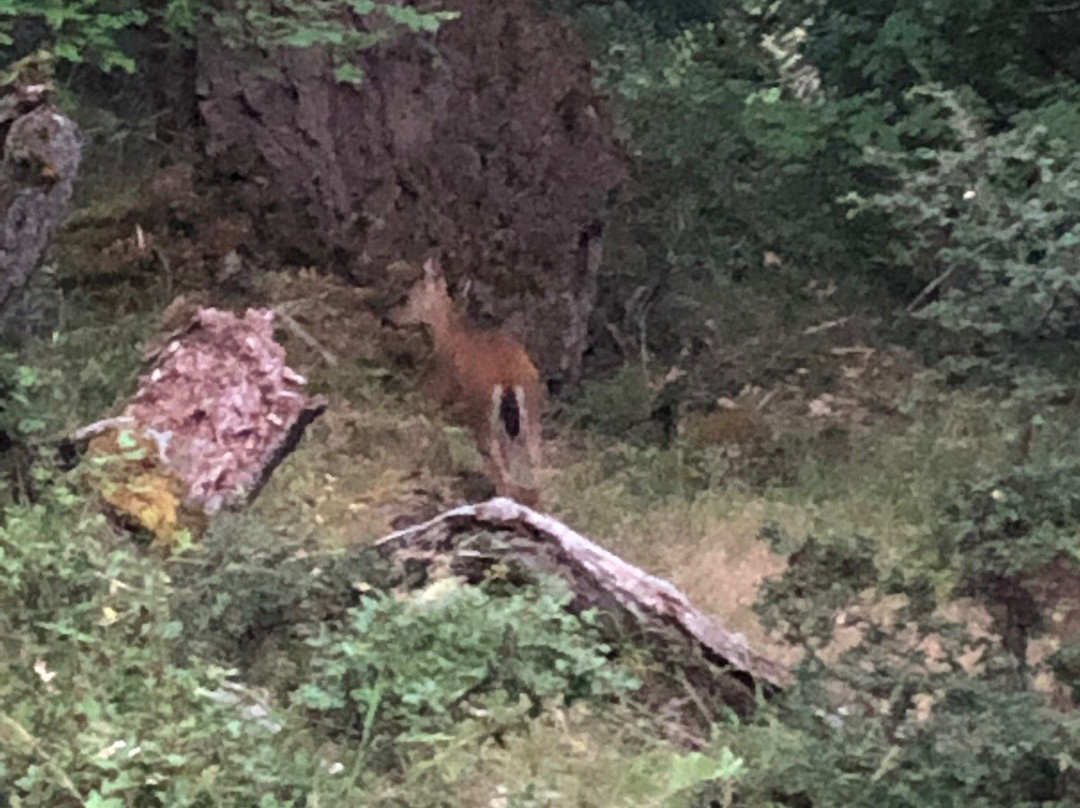OARS Rogue River Rafting-Merlin必去景点