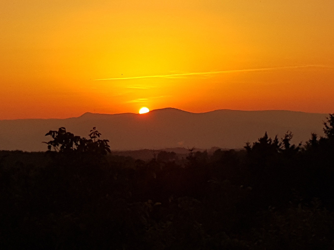 Schneiderannerl主图