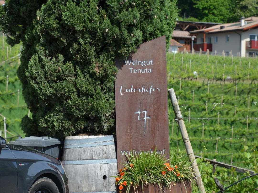 Unterhofer Winery景点图片