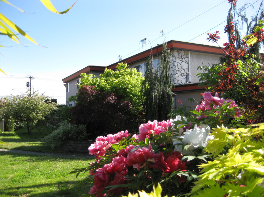 Acorn Motor Inn主图