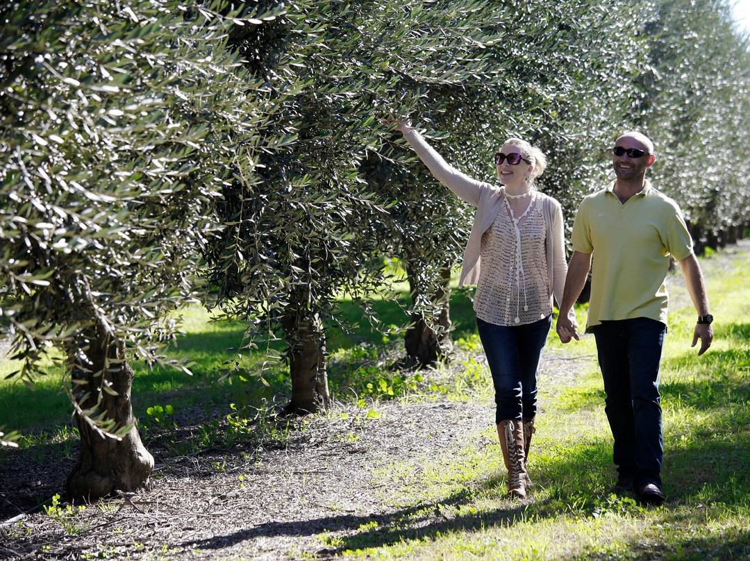Muswellbrook Visitor Information Centre-Muswellbrook必去景点