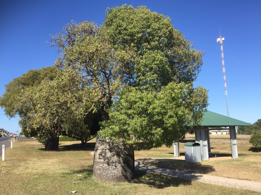 Capella Cultural Centre-Capella必去景点