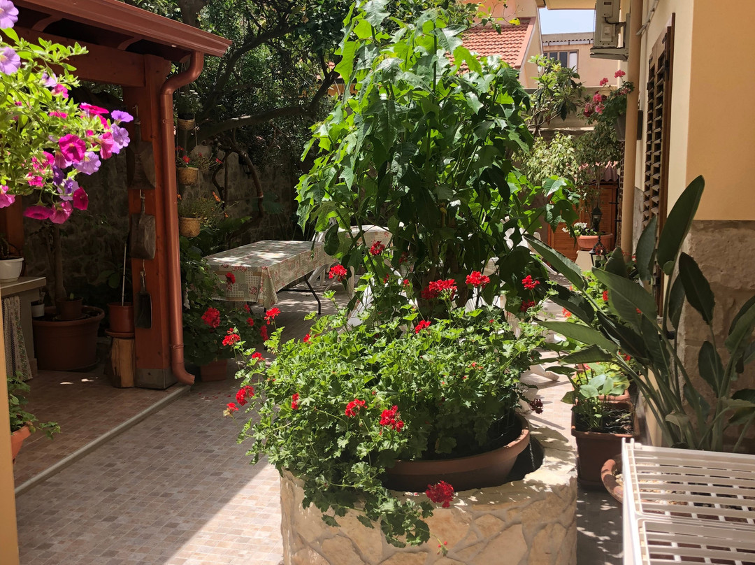 Albero dei Limoni B&B主图