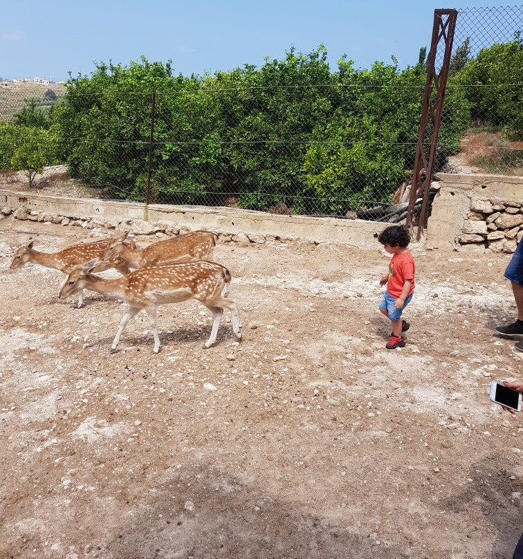 Al-Yasmine Guesthouse主图