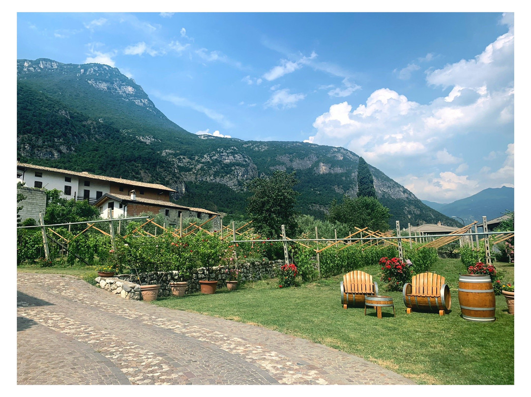 Azienda Agricola Bongiovanni景点图片