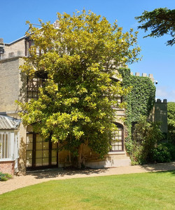Farringford Historic House and Gardens景点门票图片