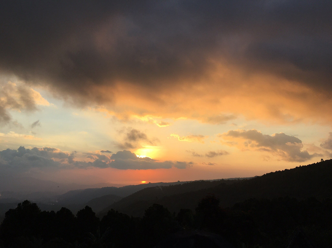 Adila Warung and Homestay主图