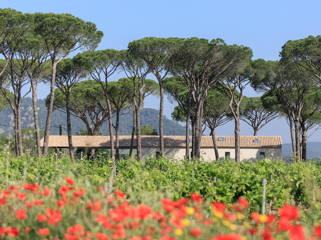 Domaine des Féraud景点图片