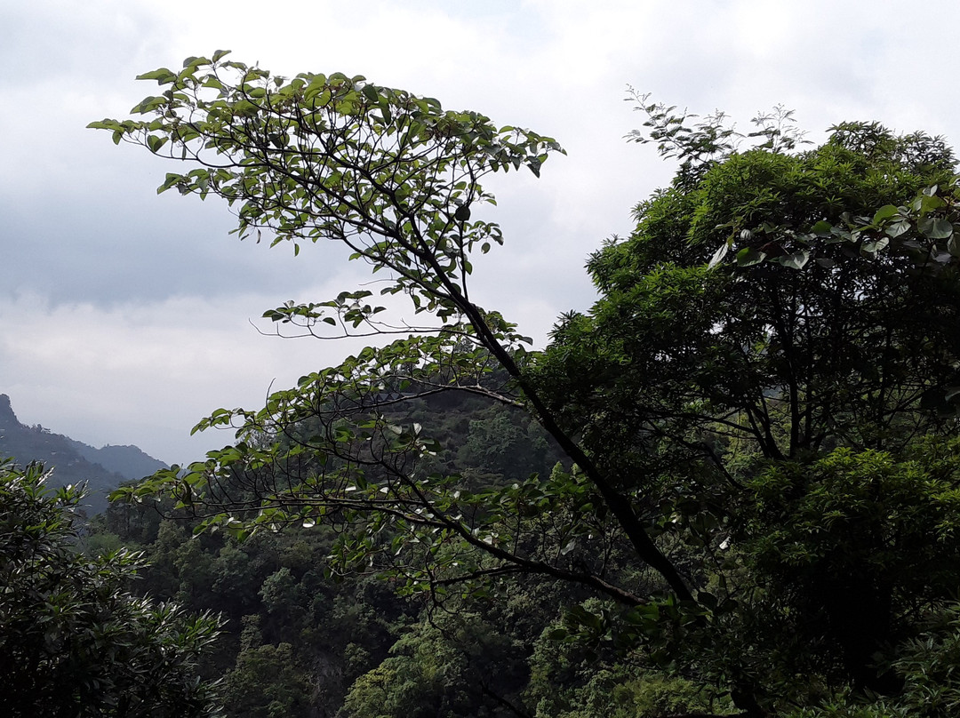 Changey Waterfall-Lava必去景点