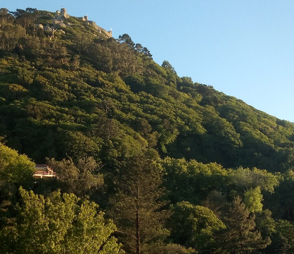 Hotel Sintra Jardim主图
