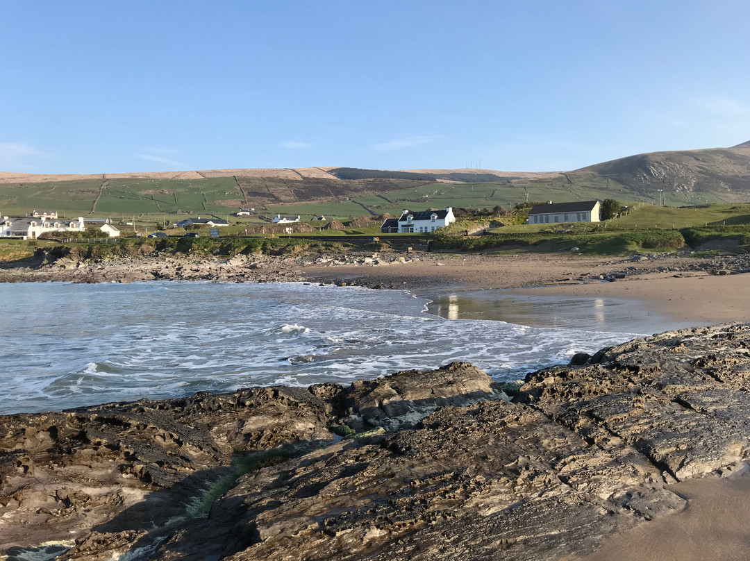 Beach Cove B&B主图