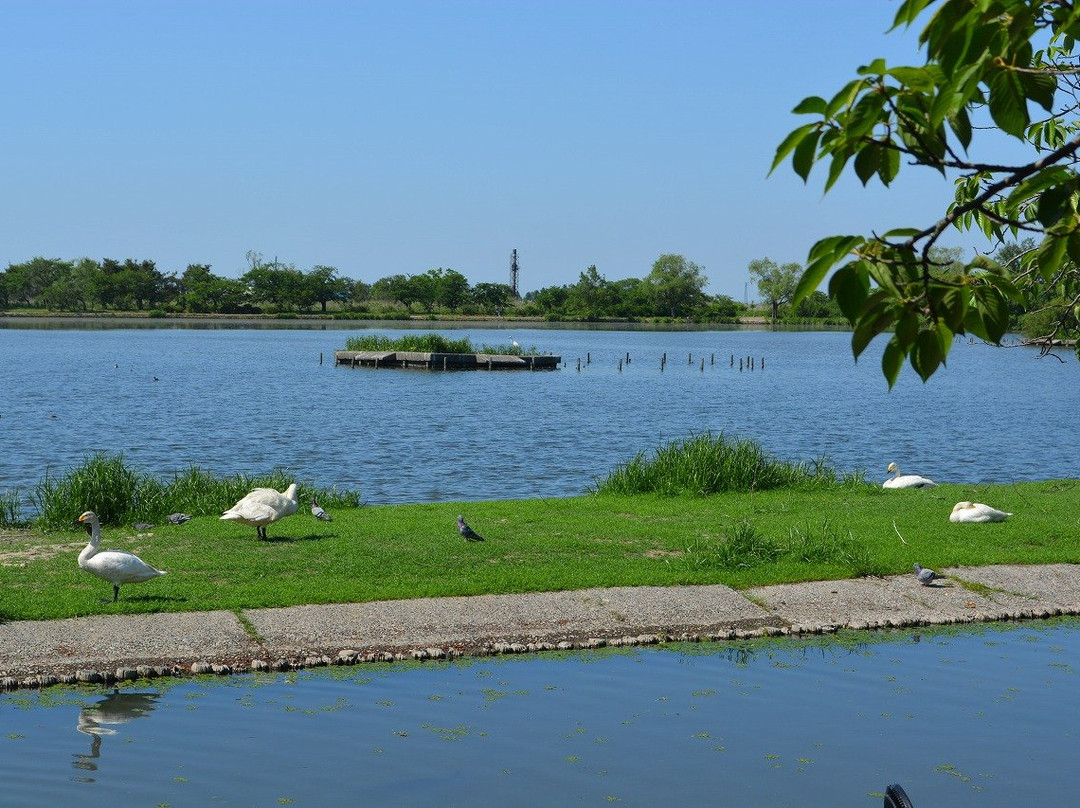 Hyokosuikin Park景点图片