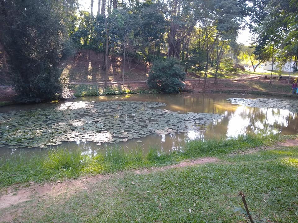 Parque Regional das Crianças景点图片
