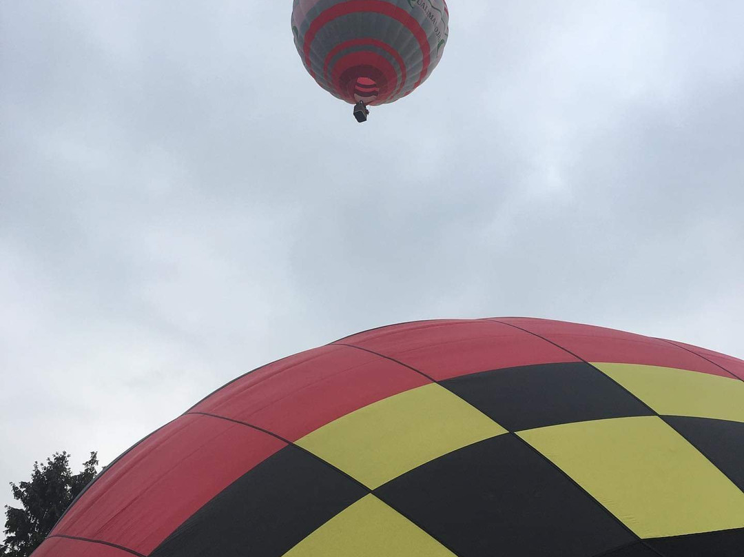 Air Choice 1-Nieuwkerken-Waas必去景点