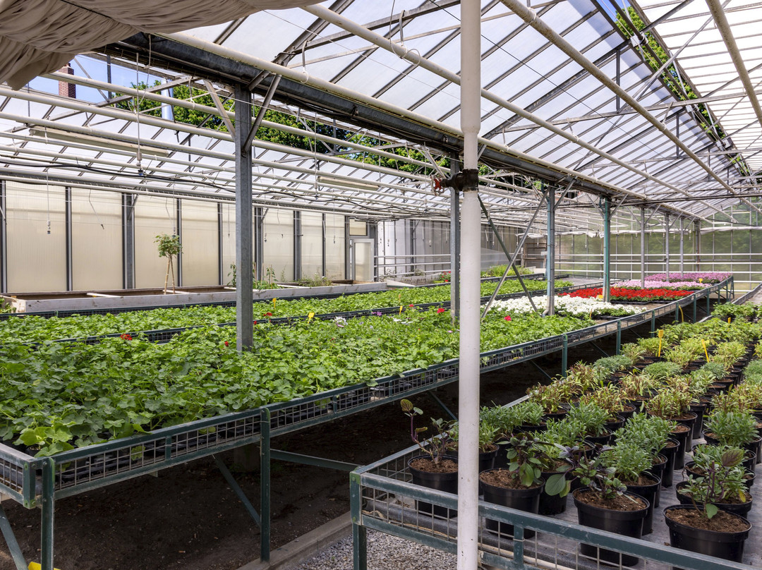Jardin des Plantes景点图片