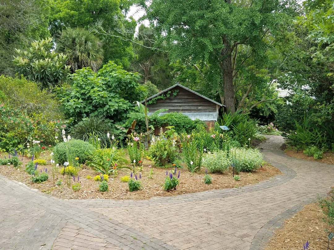 Garden of the Coastal Plain at Georgia Southern University-斯泰茨伯勒必去景点