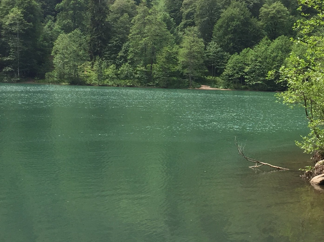 Borçka Karagöl Tabiat Parkı-Artvin必去景点