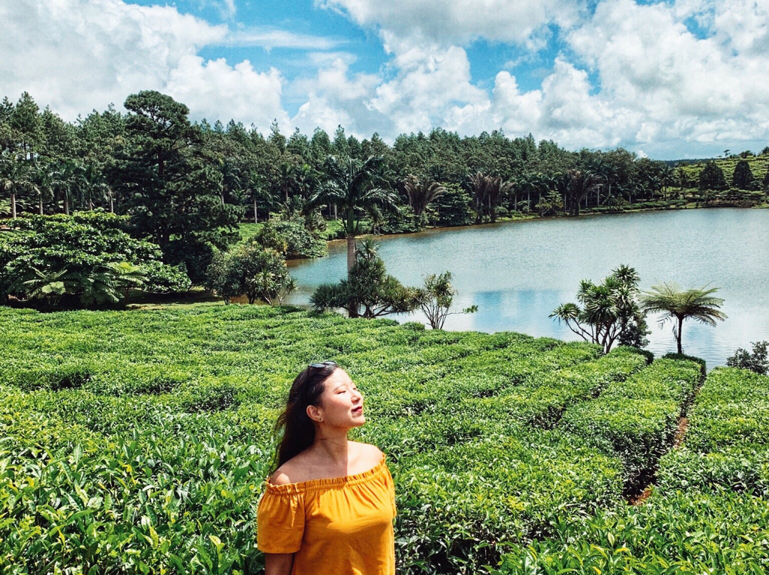 Mauritius Tours-Ebene必去景点