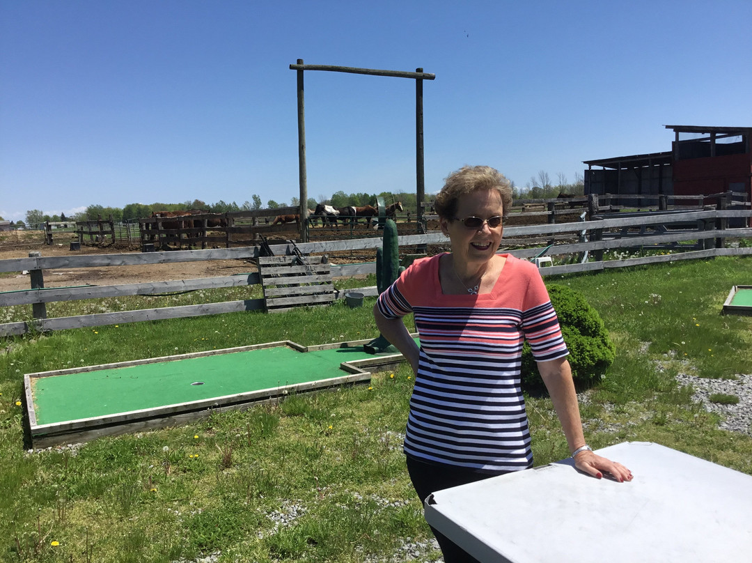 HorsePlay Niagara-科尔本港必去景点