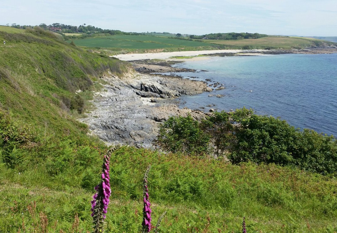 Towan Beach - The Roseland景点图片