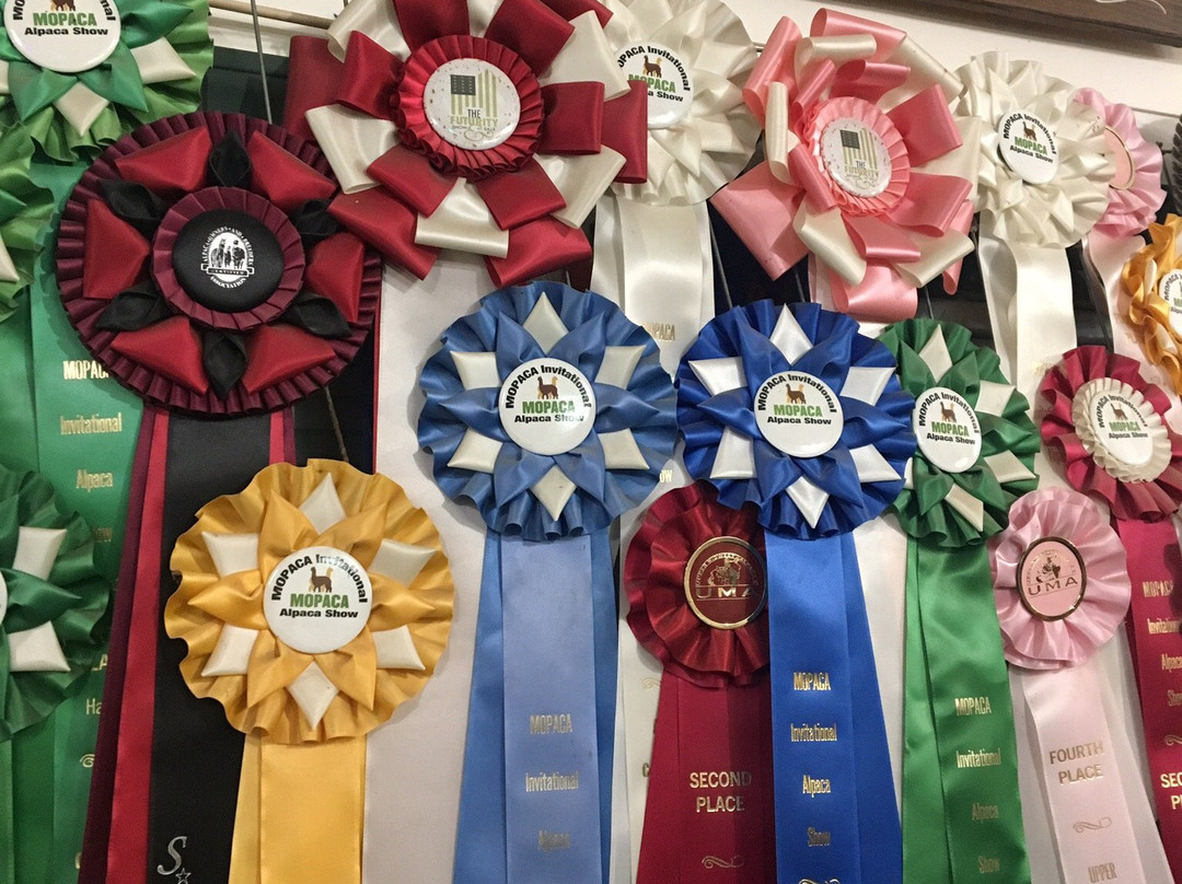 YaYa's Alpaca Farm-Garden City必去景点