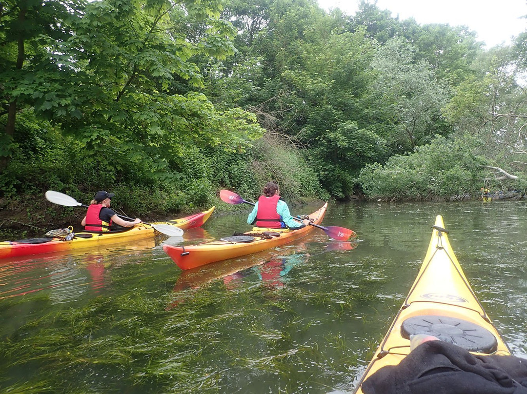Club de Canoe - Kayak Les Ragondins景点图片