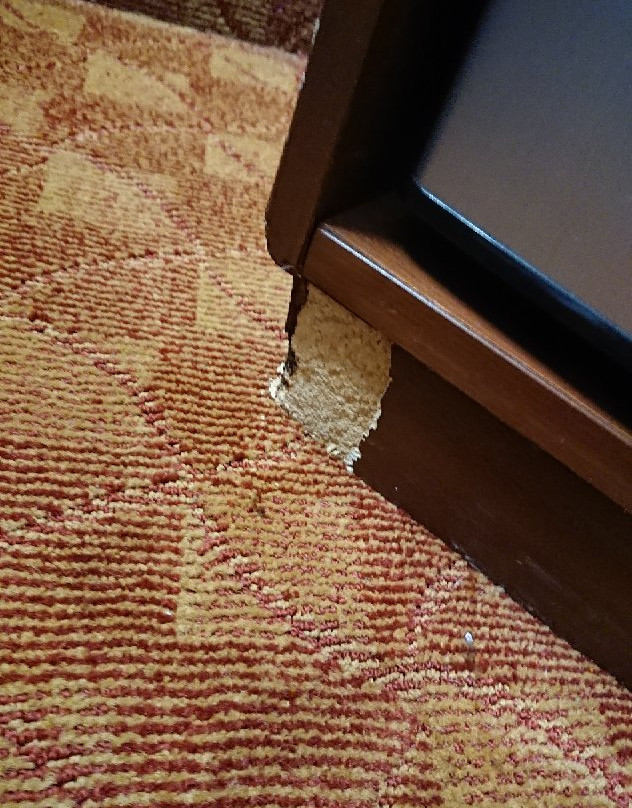 Best Western Lakewood Inn主图