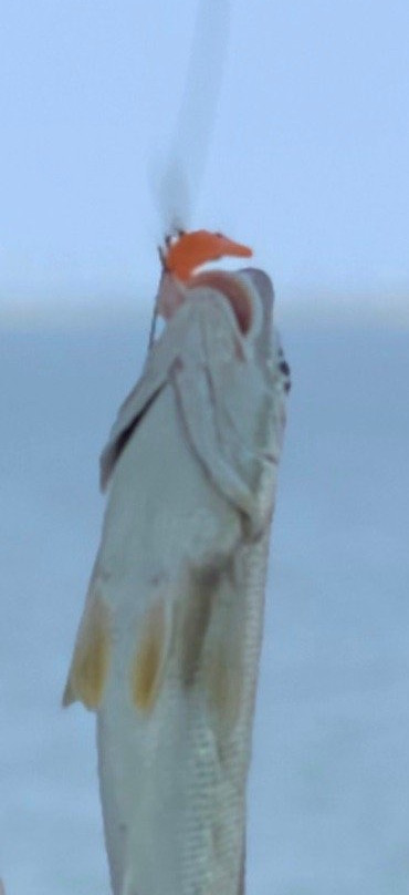 Clam Creek Picnic Area-吉柯岛必去景点