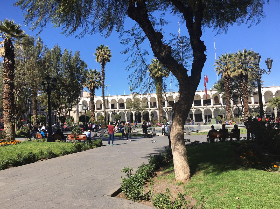 Los Leones Hotel Boutique主图