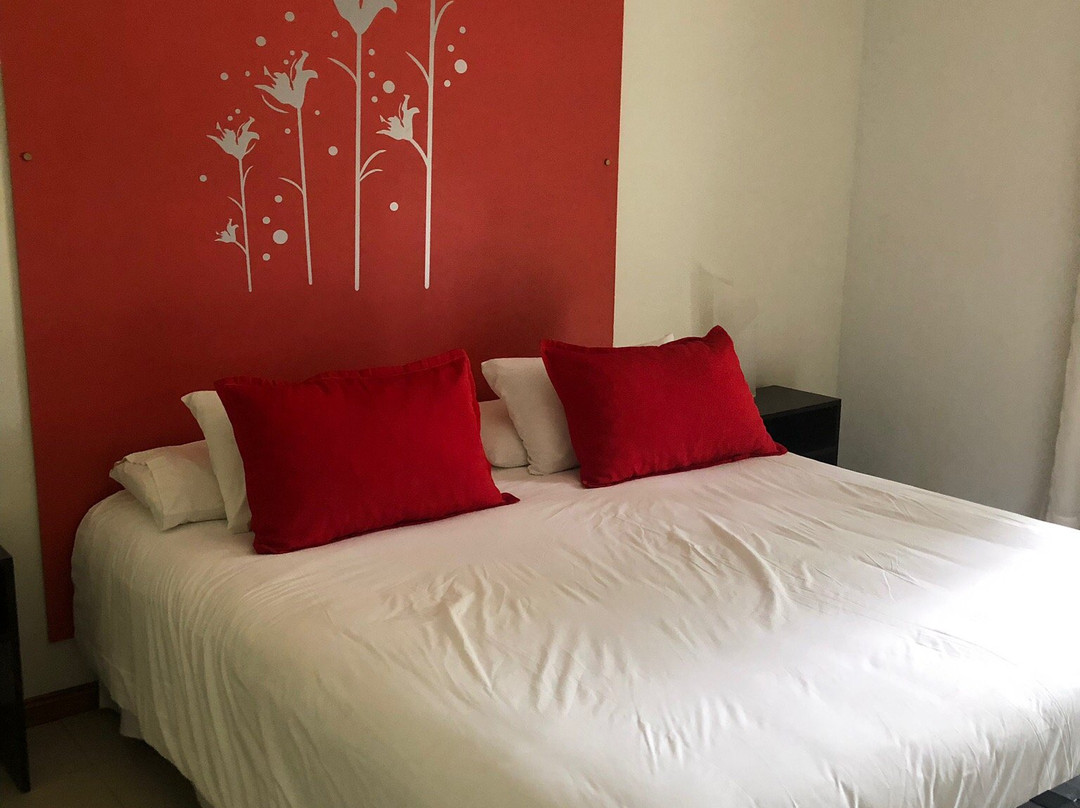 Mi Espacio Sur主图