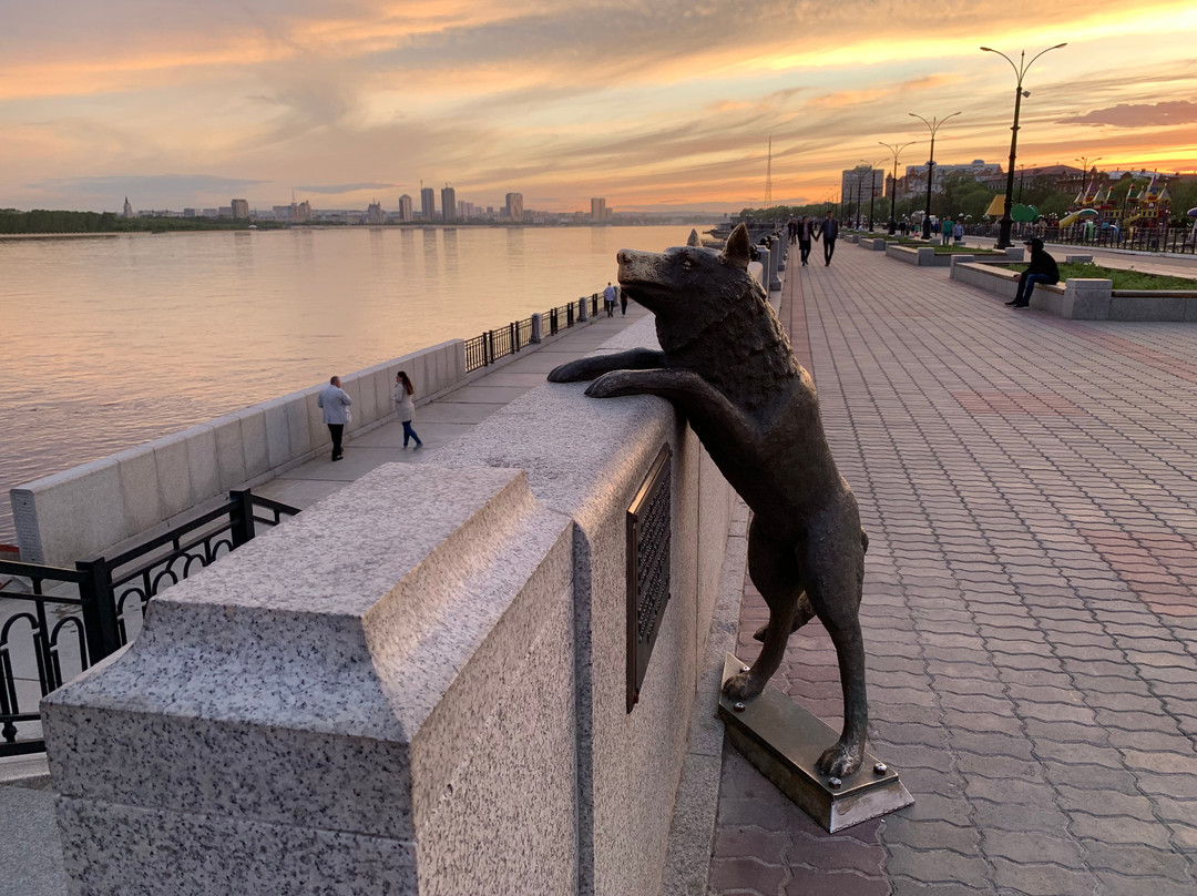 Monument Dog Named Druzhok景点图片