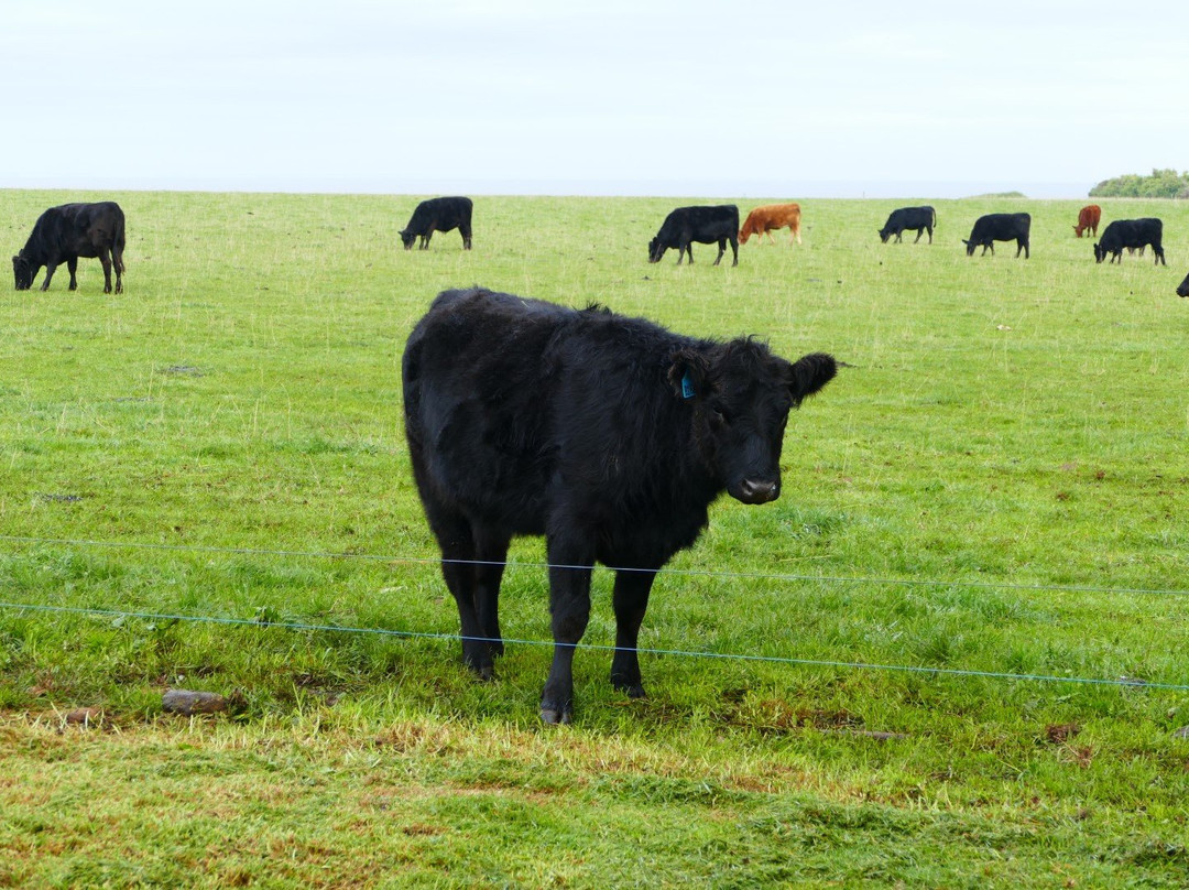 Cable Station Accommodation主图