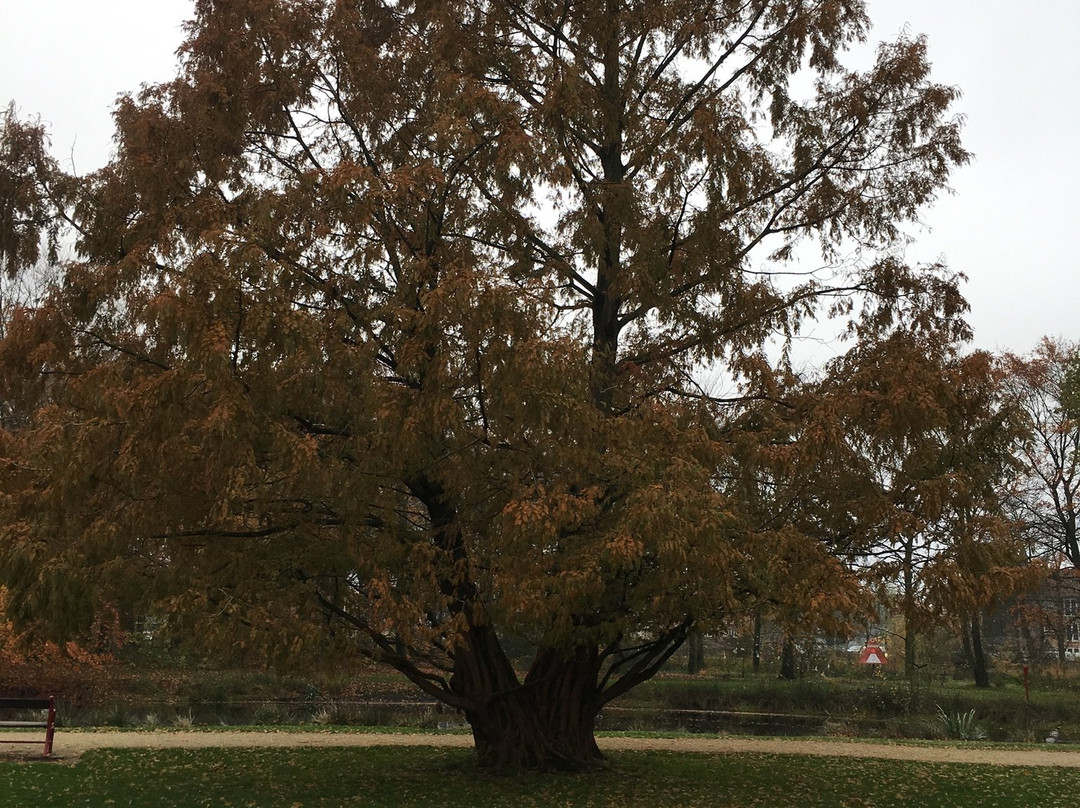 Park Sdr. Anlæg景点图片