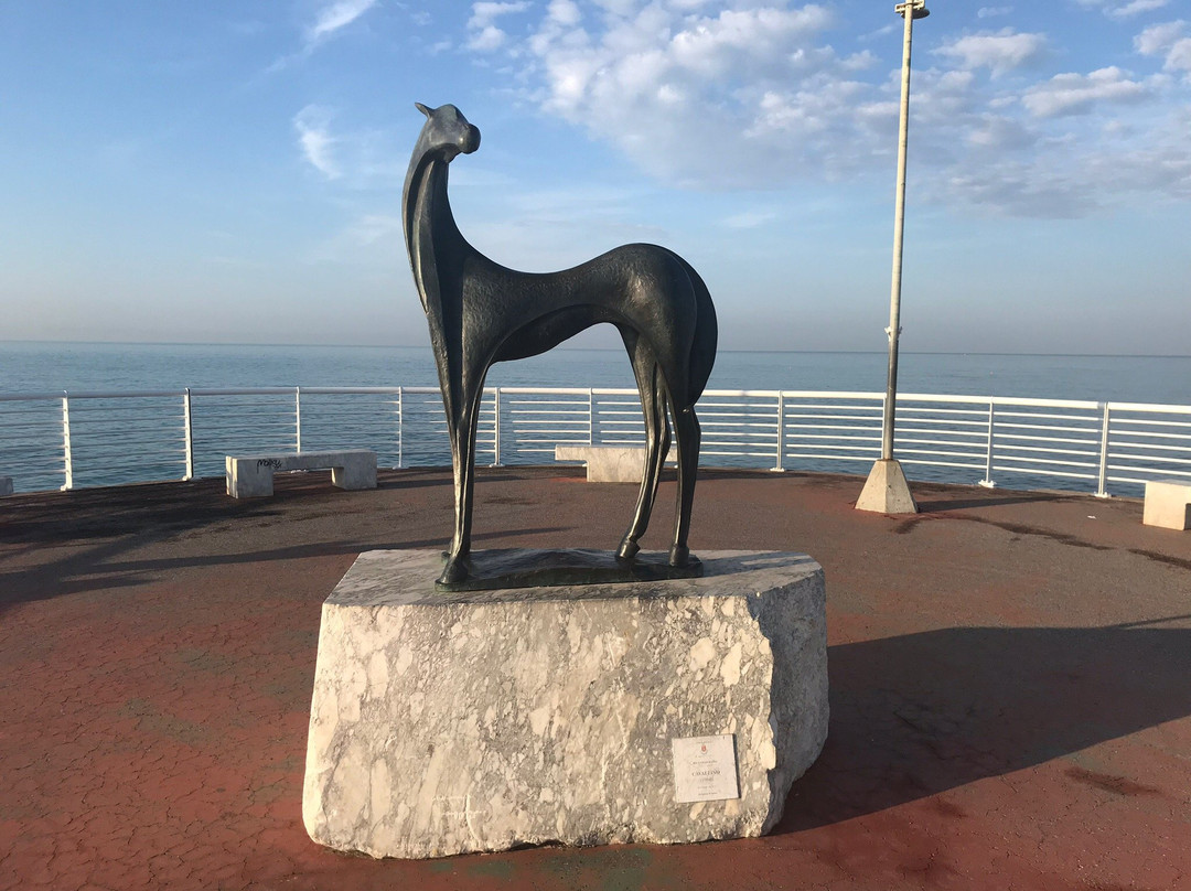 Statua del “Cavallino” dello scultore Riccardo Rossi-Marina di Massa必去景点