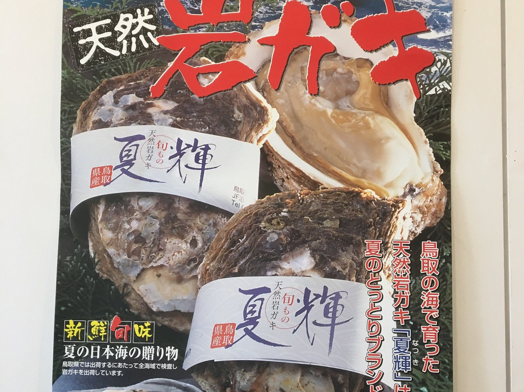 Kanemasa Hamashita Shoten-鸟取市必去景点