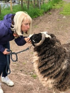 Jacob Sheep Trekking and Farm Experience Days景点图片