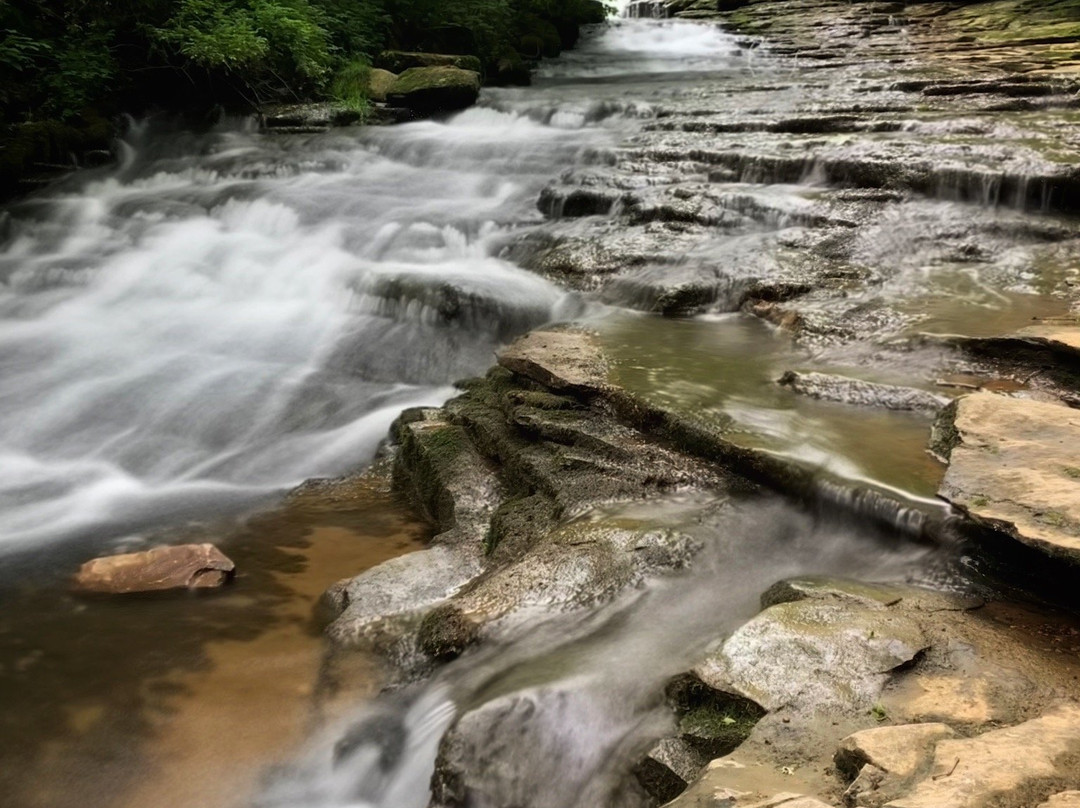 Saunders Springs Nature Preserve-Radcliff必去景点