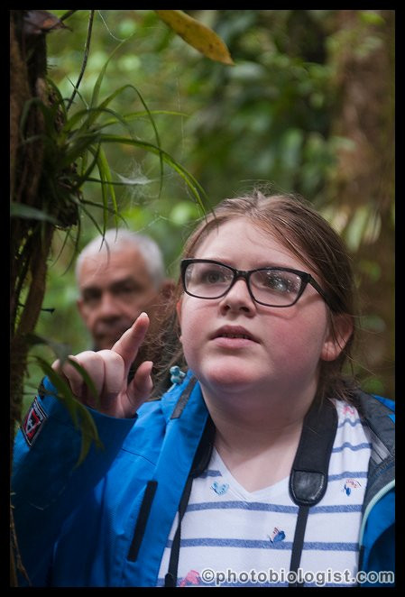 Nectandra Cloud Forest Garden景点图片