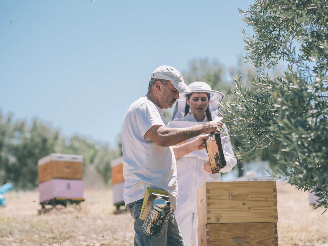 Ermionis - Bairaktaris Apiary-Kranidi必去景点