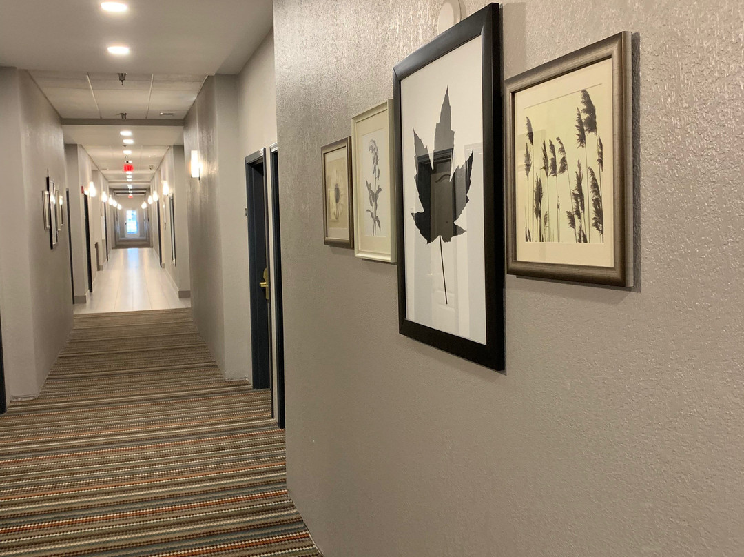 Comfort Inn & Suites Fairburn - Atlanta Southwest主图