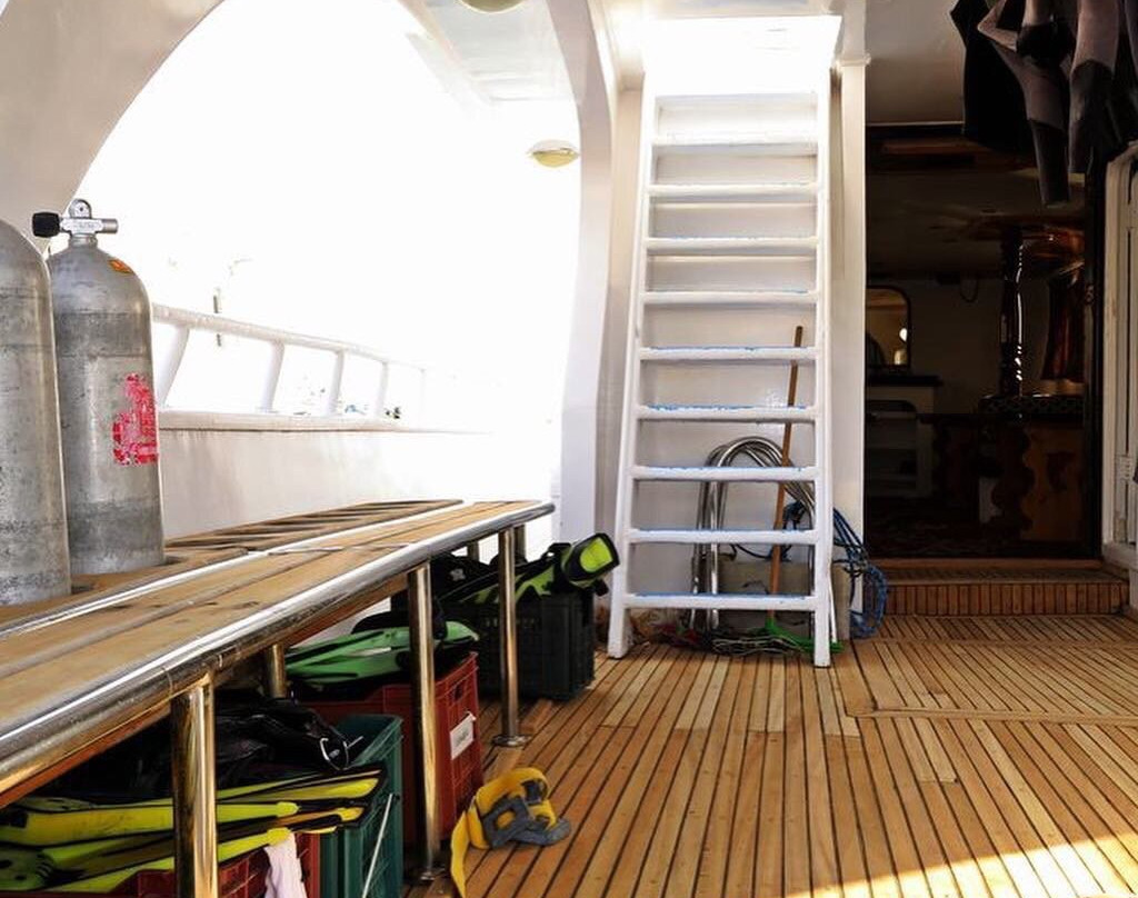 Barakuda Diving Center Safaga-Safaga必去景点