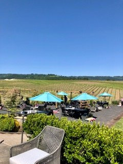 Adelsheim Vineyard景点图片