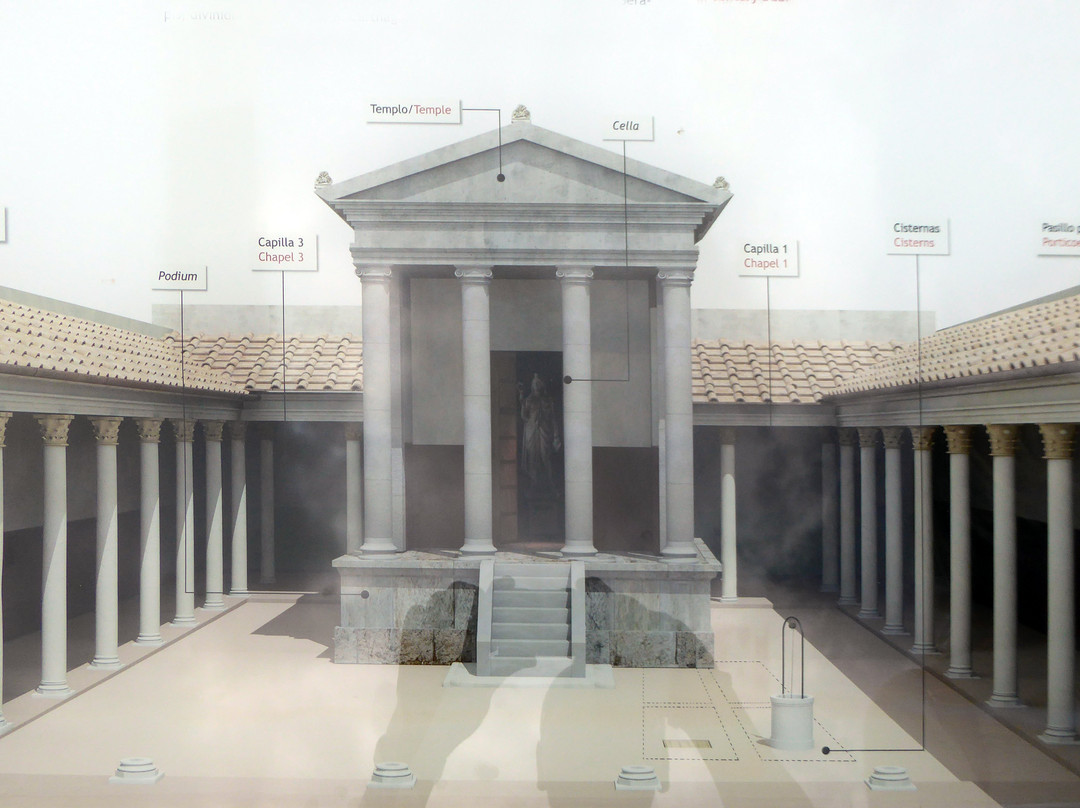 Museo Foro Romano Molinete景点图片