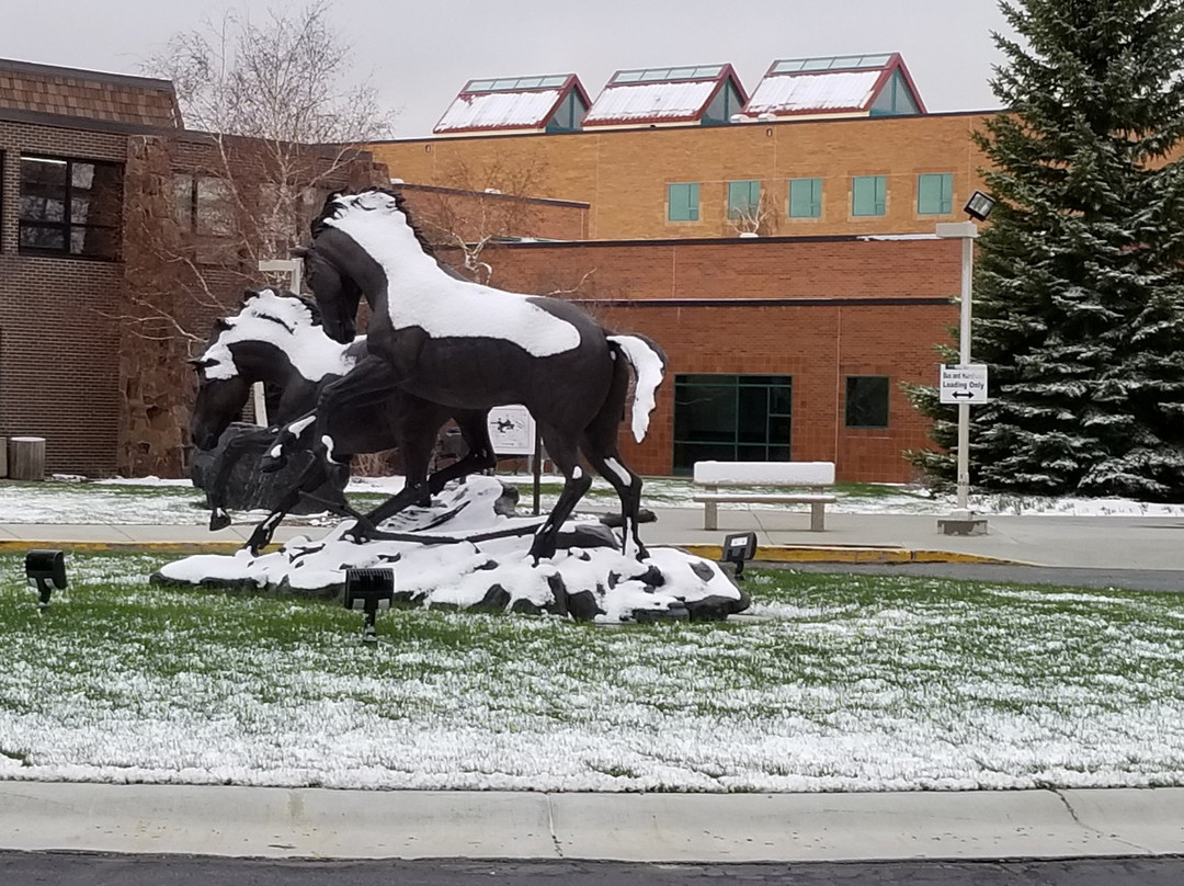 Natural History Museum - Western Wyoming Community College-Rock Springs必去景点